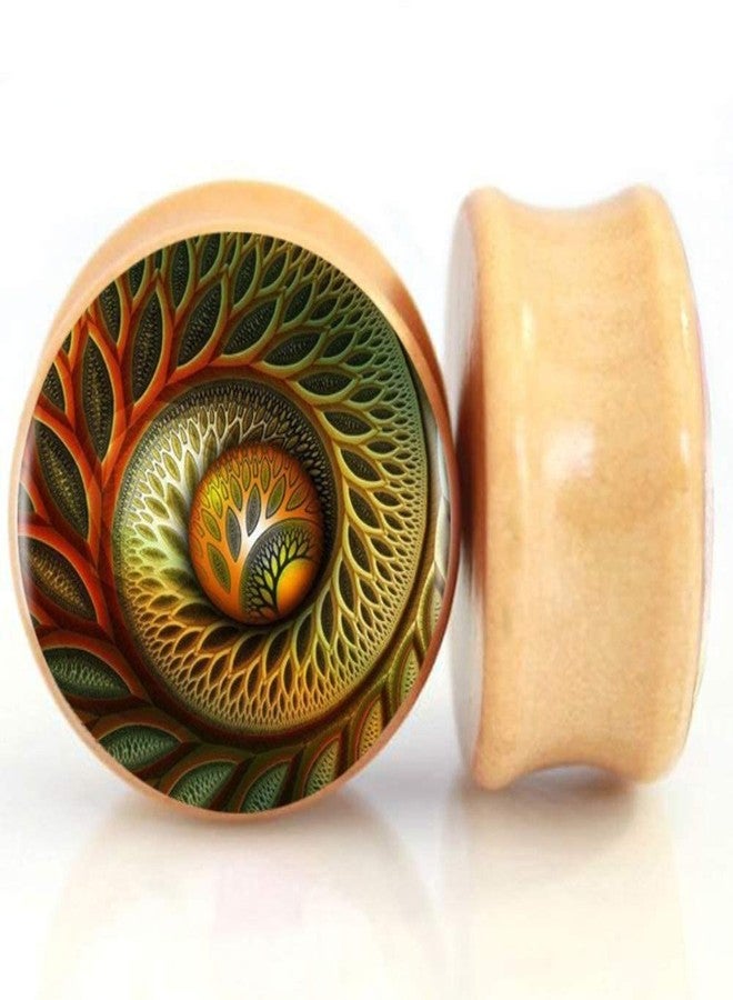SERYNOW Wood Ear Gauges Plugs And Tunnels 8mm-25m Ear Stretcher Expander Saddle Plug Piercing Jewelry (1/2" (12mm)) - Image 1